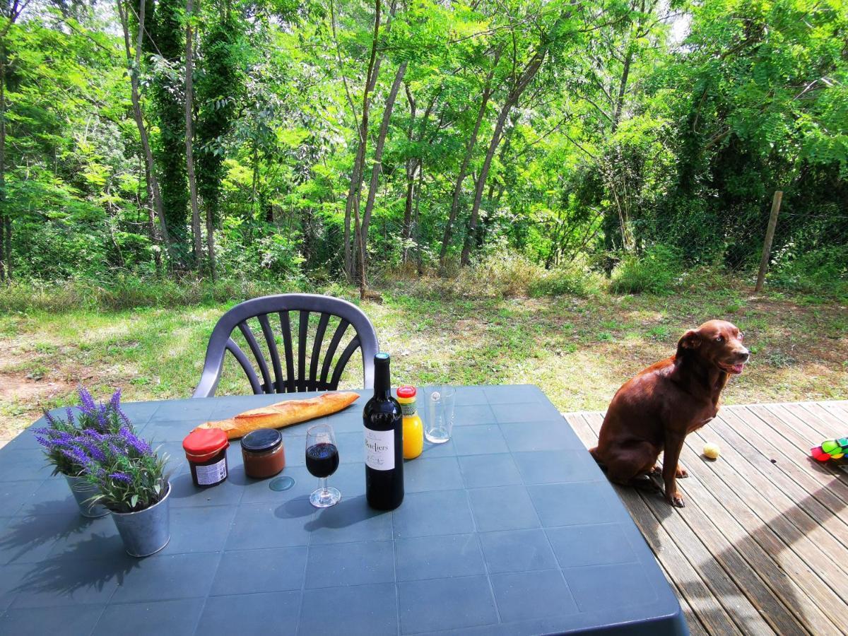 Camping Le Coin Charmant Chauzon Exteriér fotografie